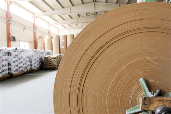 广西木材与纸浆产量大幅提升