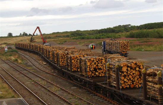 美国铁路罢工，木材运输受到潜在影响
