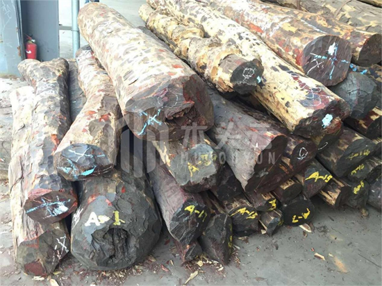 非法出口血檀至中国木材市场，赞比亚又一官员被逮捕
