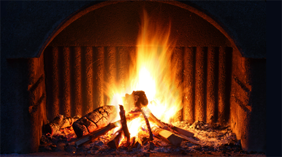 欧洲能源转型，环保主义者：拒绝更多的木材燃烧!