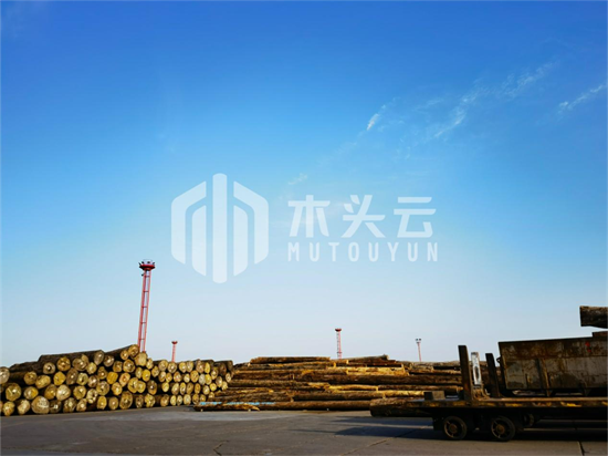 中国外贸转向投资“伐木、加工、贸易”一体化