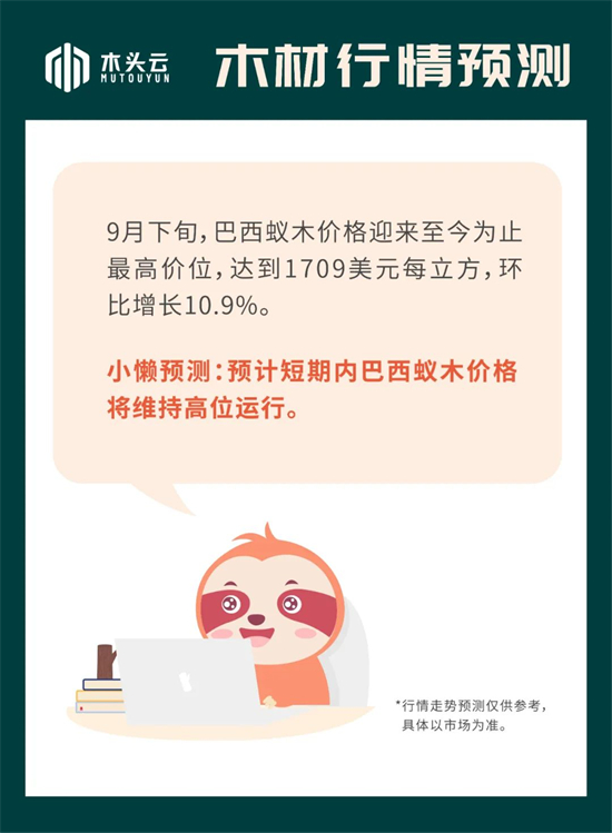 木材行情｜10月10日巴西蚁木行情走势预测