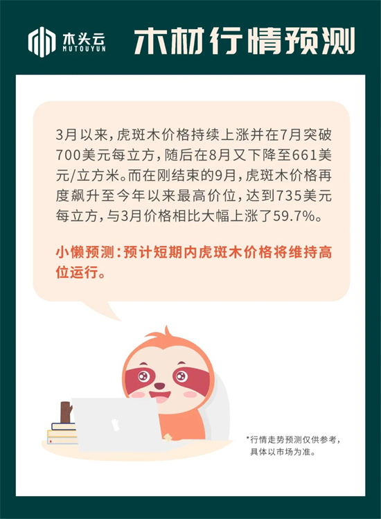 木材行情｜10月12日虎斑木行情走势预测