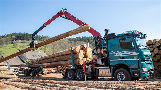 面对劳动力短缺，芬兰的林木行业做出了什么改变?