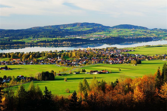 能源危机下木柴价格飙升，开发清洁能源才是大趋势？