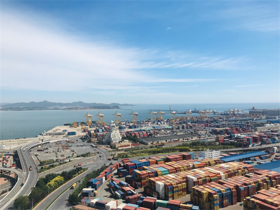 俄罗斯桦木被发现通过中国和越南出口至美国