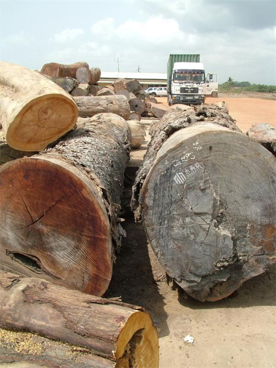 热带木材出口欧州狂潮正在消退