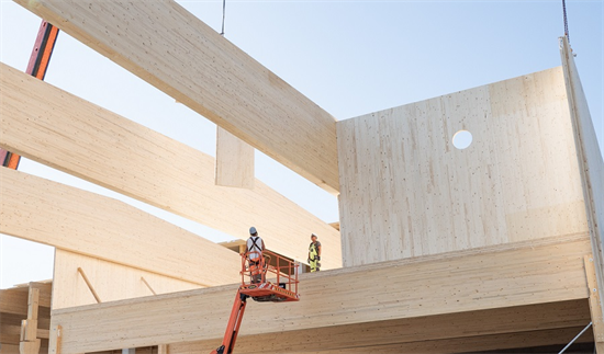 年底北美木材供应或将大量减少