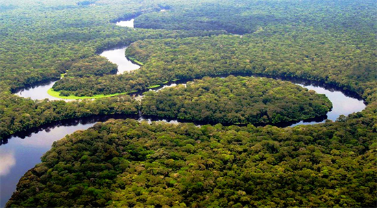 刚果确认明年禁止出口原木，并不再延期
