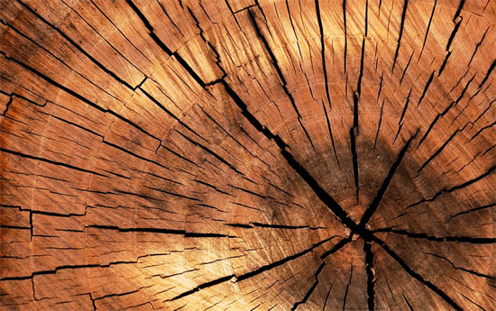 全球市场形势脆弱需求下降，引来木材价格大幅下跌