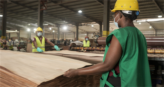 原木库存过高，加蓬正在打折出售原木