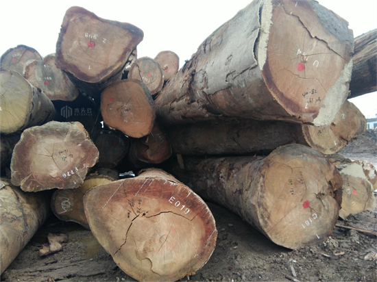 原木库存过高，加蓬正在打折出售原木