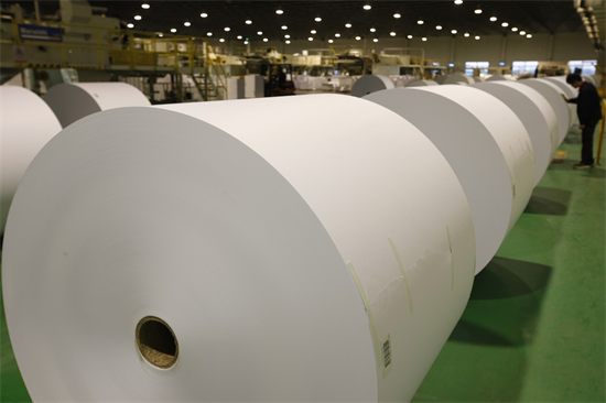 2030年全球木材市场木材消费量或将达到31亿立方米