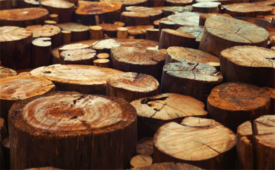 出口进行调整!印尼放缓对中国和美国木材出口