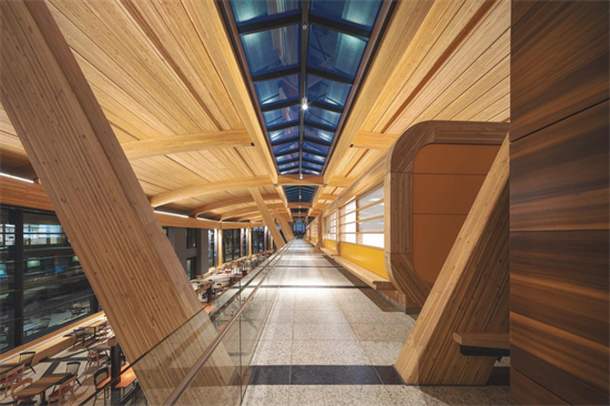 四部门联合印发《建材行业碳达峰实施方案》，木材将成建材减碳主战力!