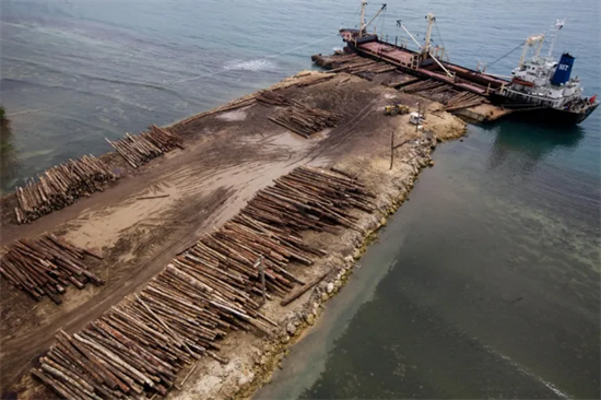 巴新总理坚持在2025年禁止原木出口