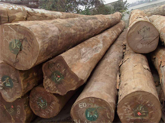中非原木出口禁令又将无限期延迟
