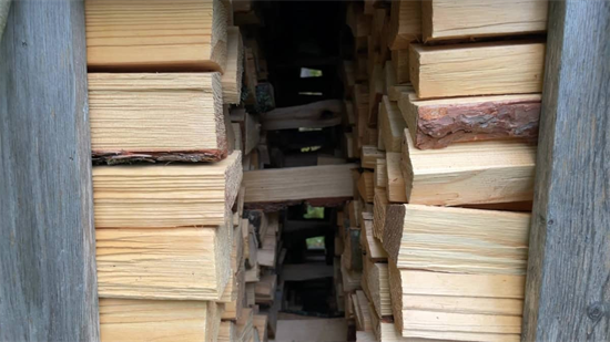 芬兰：停止俄罗斯木材贸易严重推高了当地桦木价格