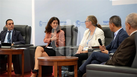 COP27报告：刚果森林砍伐成全球二氧化碳排放主要驱动因素