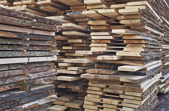 10月国内木材市场进口成今年最低