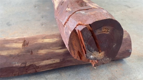 被海关查获的濒危木材或木制品，最后的去向是哪里?