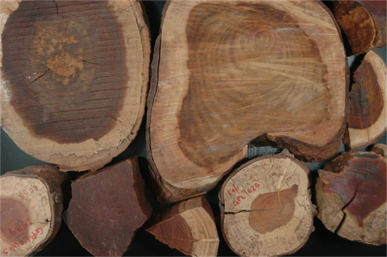 巴西红木管制将加强，木材走私有望减少