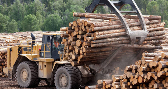 非洲原木价格再涨!喀麦隆计划再度收紧原木出口关税