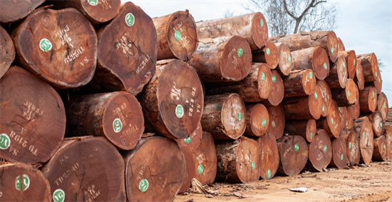 非洲原木价格再涨!喀麦隆计划再度收紧原木出口关税