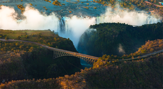 人赃俱获!2名外国人因非法采伐32块红木被逮捕!