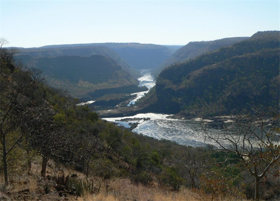 人赃俱获!2名外国人因非法采伐32块红木被逮捕!