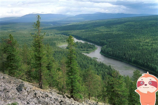 俄罗斯伐木量及木材产量都在下降