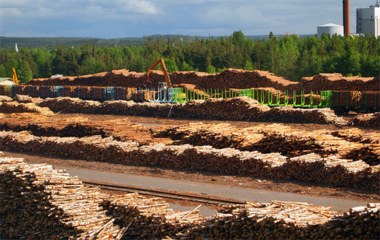 芬兰：原木内陆运输态势向好 市场对原木需求高