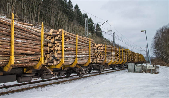 芬兰：原木内陆运输态势向好 市场对原木需求高