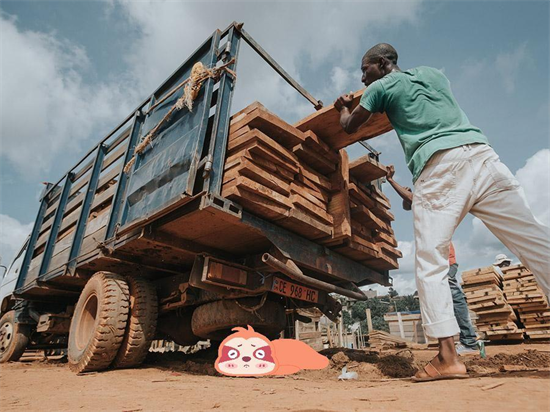 喀麦隆公布了2021年木材出口数据报告