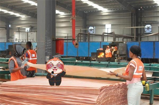 加蓬的高成本正促使木材加工“无利可图”