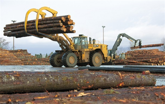 韩国原木进口量减少12.6%