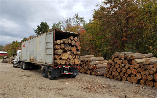 韩国原木进口量减少12.6%