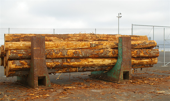 韩国原木进口量减少12.6%