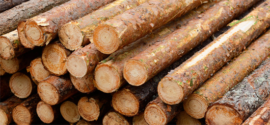 韩国原木进口量减少12.6%