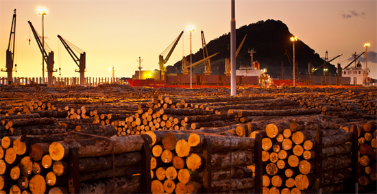 新西兰发布木材加工业转型计划 中国原木进口供应再度减少