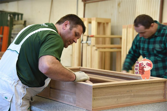 加拿大林业公司恢复就业增长