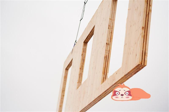 拉脱维亚林务局将严查进口“冲突木材”