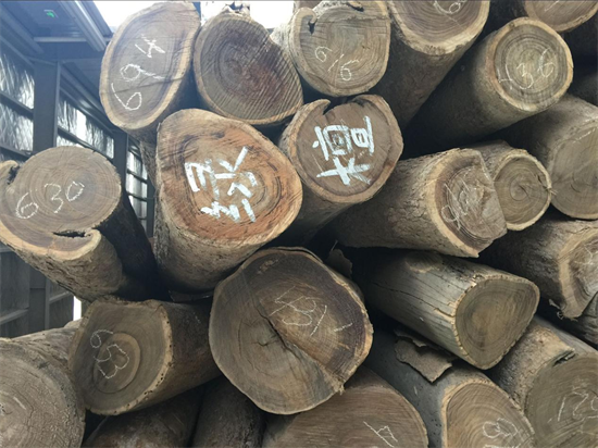 阿根廷宪兵队截获700根非法绿檀木