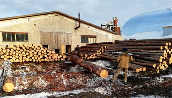 俄罗斯：2021年是木材行业最成功的一年