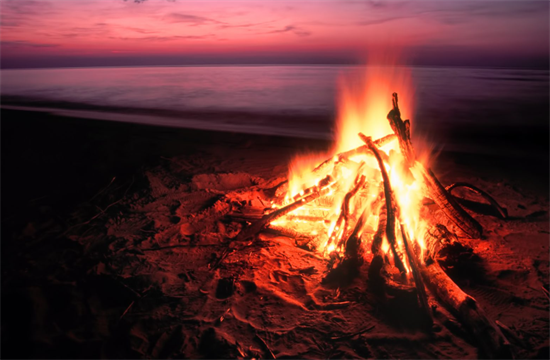 注意!这个城市新规定：禁止非指定位置的海滩燃烧木材!