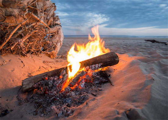 注意!这个城市新规定：禁止非指定位置的海滩燃烧木材!