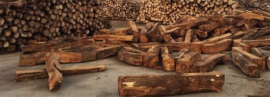 中国对红木的需求助长非洲非法采伐?