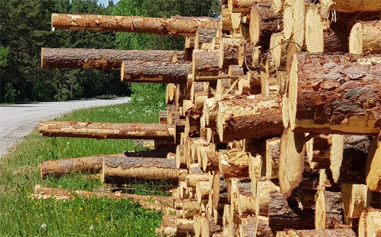 中国买家以1230万美元拍下62万立方米木材