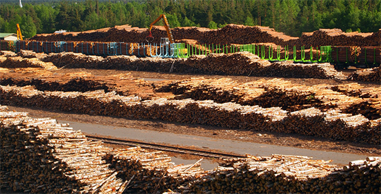 芬兰对欧洲的木材出口减少26%