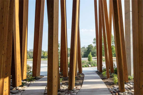 丹佛最高的大型木结构建筑于2023年破土动工